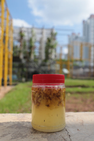 A prepared EcoEnzyme solution in a red-capped Chinese New Year snack container.