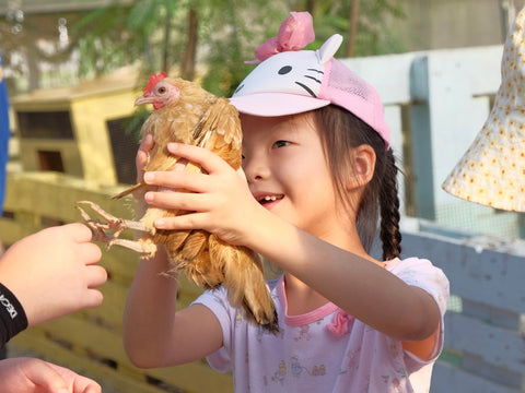 A young girl playing with a chicken in an urban farm