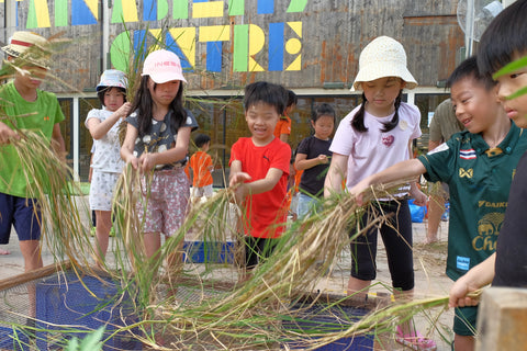 Children threshing rice to find seeds after harvesting at our Kids Adventure Camp