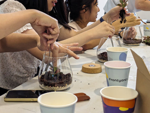 A close-up shot of people creating terrariums at a City Sprouts corporate bonding workshop.
