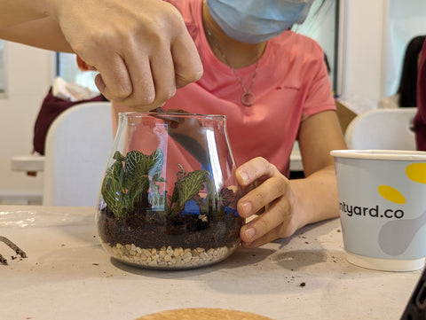 A person focused in assembling a terrarium at a sustainable corporate team bonding workshop at City Sprouts.