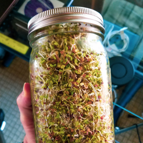 what is gse oil and how do i use it in sprouting