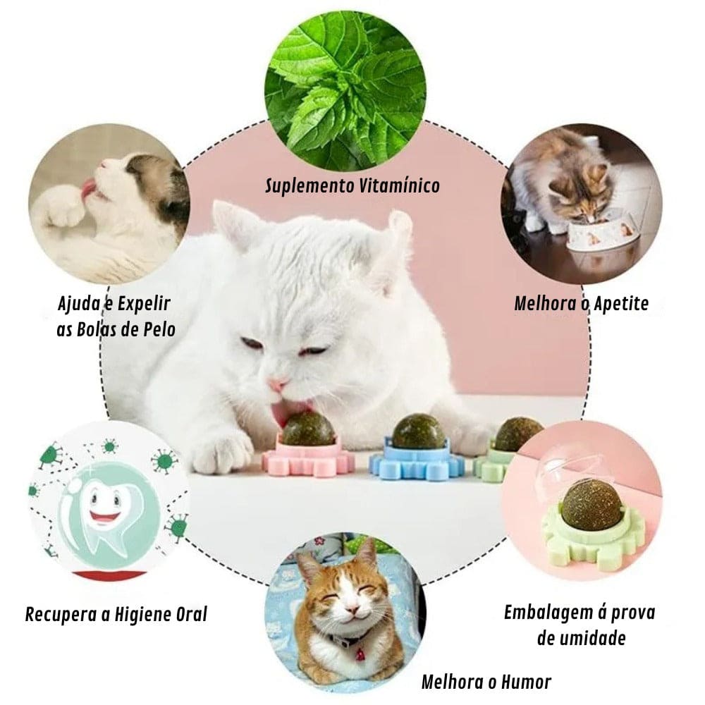 vitamina para gatos