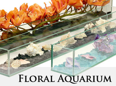 https://cdn.shopify.com/s/files/1/0628/8437/collections/floralaquarium.jpg?v=1415300712