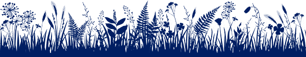 Image of grass and plants as a header image to the footer block