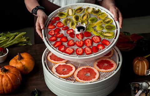 Guide to Dehydrating Food