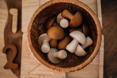 Moon Picnic - Forest Mushrooms in A Box