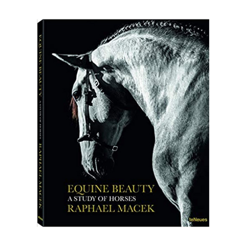 Equine Beauty by Raphael Macek