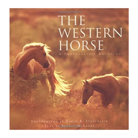 Western Horse A Photographic Anthology by Buster Mclaury