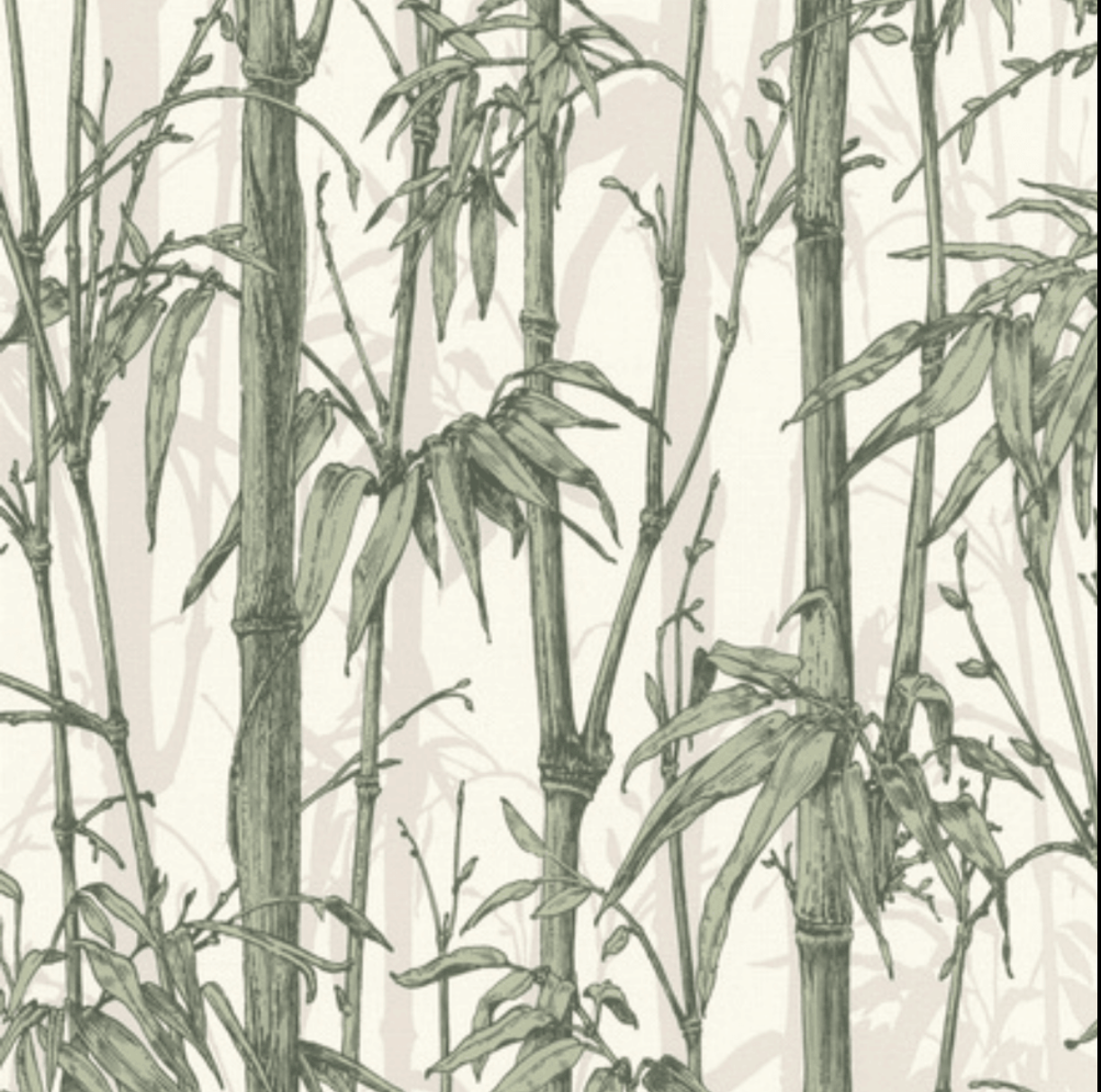 tapet m. hvid/grå bund og bambus planter sort og grøn