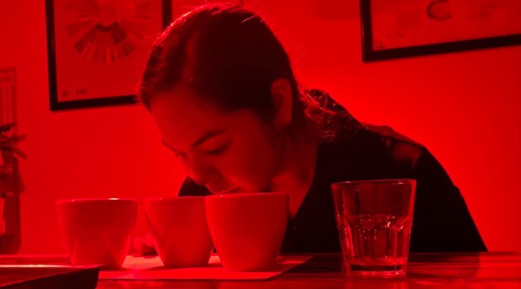 coffee cupping with red light to mask the color of the beans