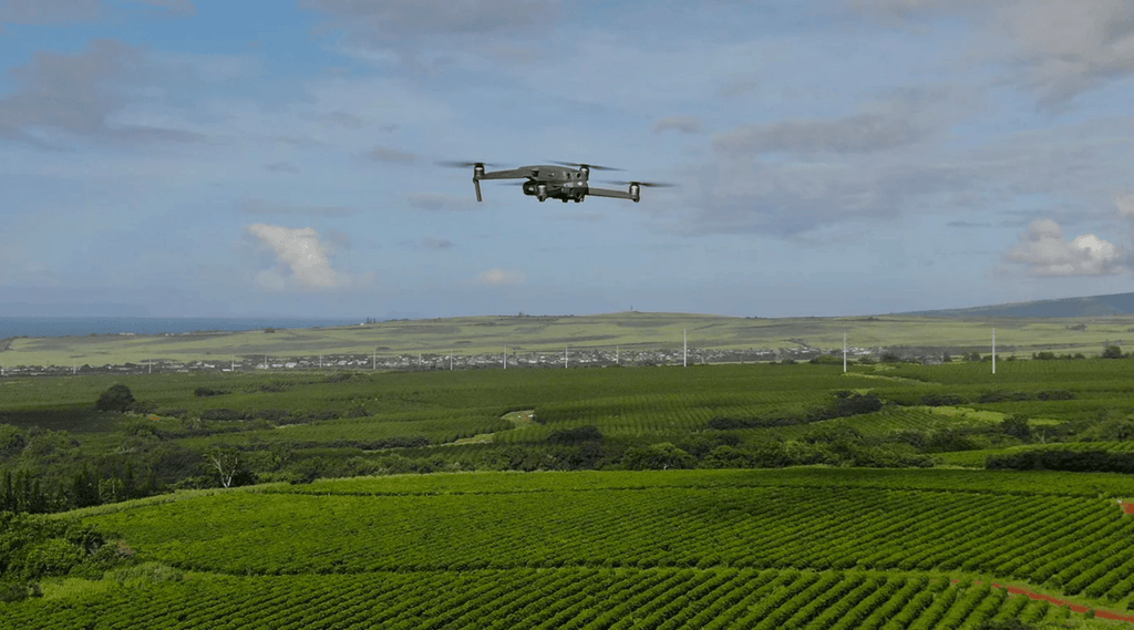 drone flying over the kauai coffee orchard