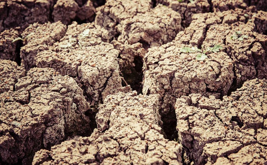 dehydrated soil