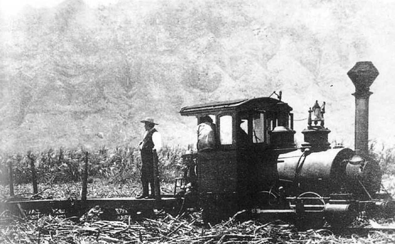 Koloa Sugar Company Plantation cane train, Hawaii, 1882