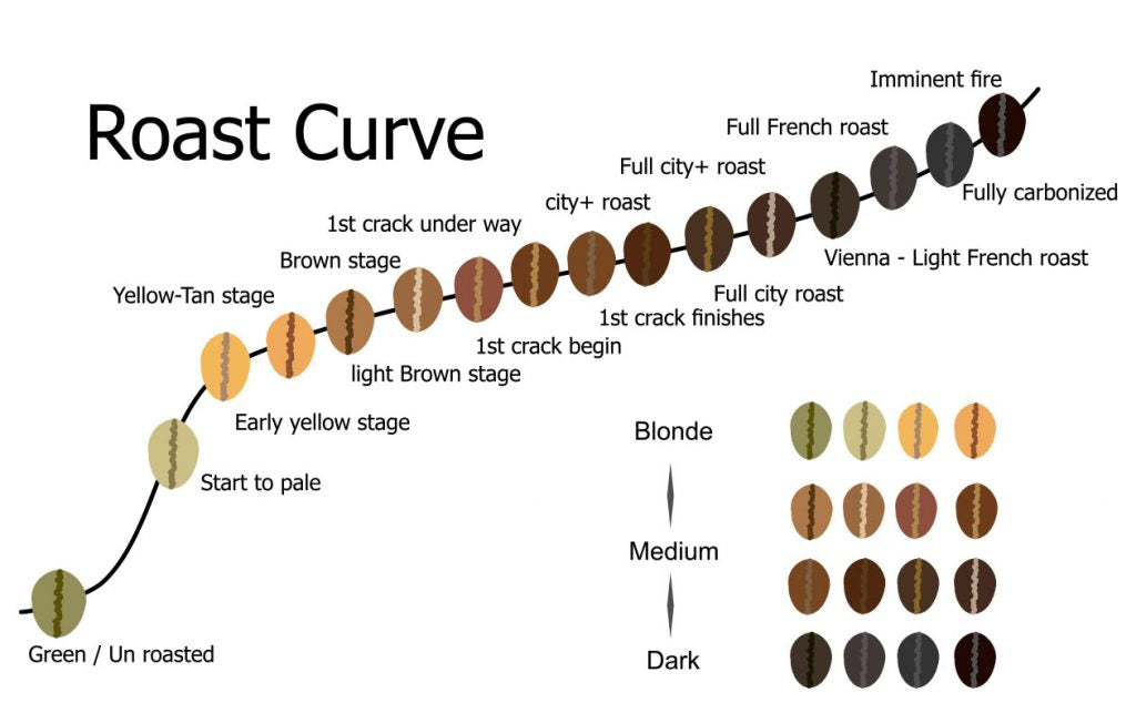 coffee roasting chart shutterstock: pongpinun traisrisilp