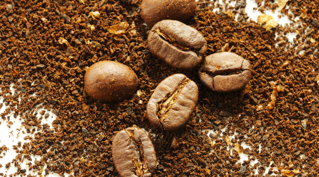 whole bean and ground coffee on a white background