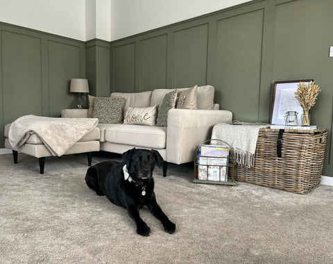 A cosy living room featuring green panelled walls, a cream sofa, and a big wicker storage trunk with a throw, framed picture, and other decorative accessories on top. A black labrador dog is lying in front of the sofa on the floor, which has grey carpet. 