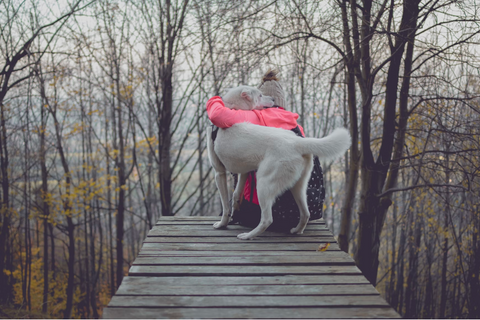 A woman hugging her dog whilst out on a walk in a forest 
