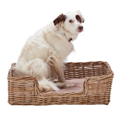 Kubu Rattan Rectangular Pet Bed 