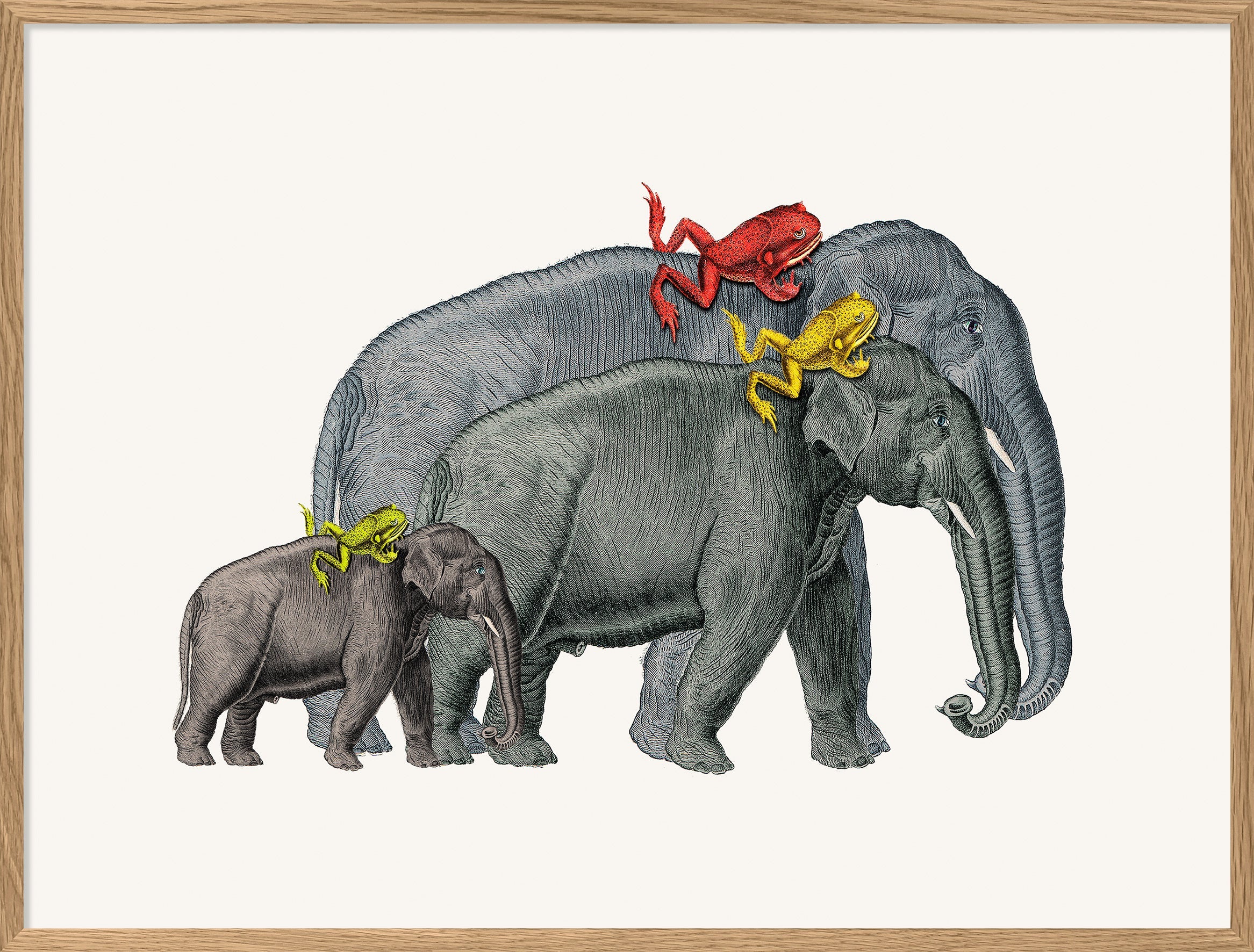 Elephants and Frogs - THE DYBDAHL CO UK product image