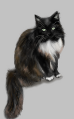 Black white and ginger cat with green eyes on a soft grey background. Digital painting by Figg-Arnold Fine Art.
