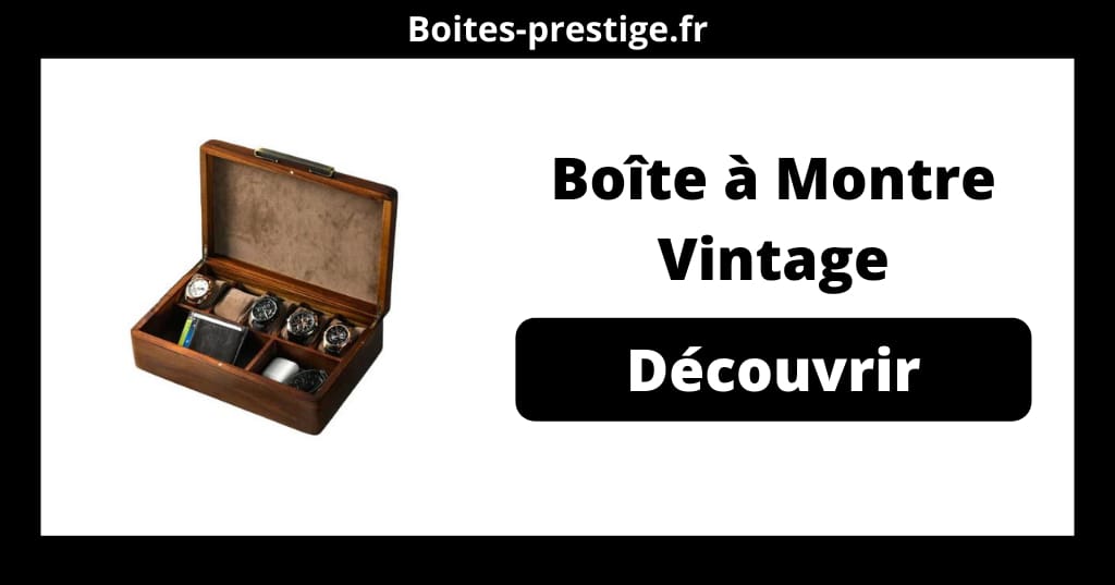 Boîte à Montre Vintage Haut de Gamme