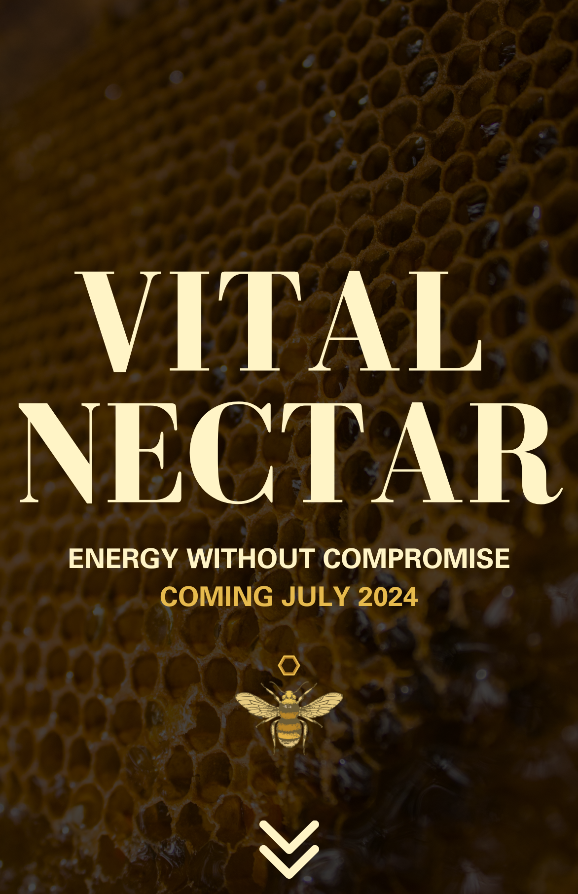 ENERGY_WITHOUT_COMPROMISE_1