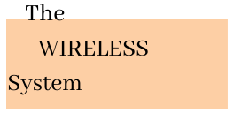 The-Wireless-System