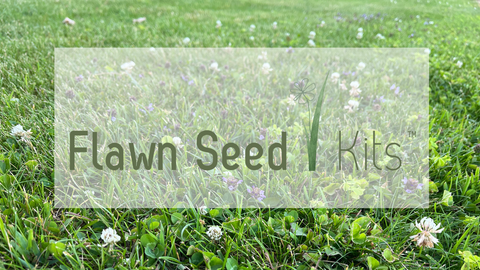 Flawn Seed Kits Logo