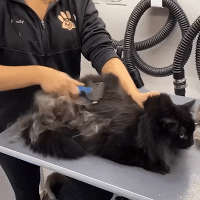 Aiitle Pet Safe Hair Dematting Comb