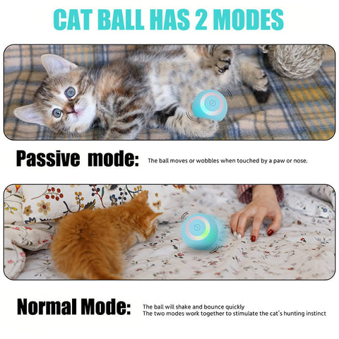 Aiitle Interactive Cat Hunting Toy