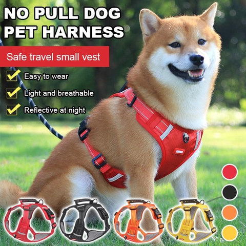 Aiitle No Pull Dog Harness
