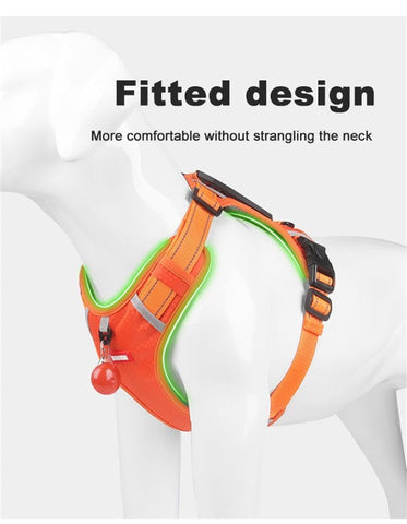 Aiitle No Pull Dog Harness