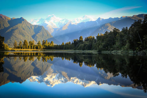 New Zealand landscape