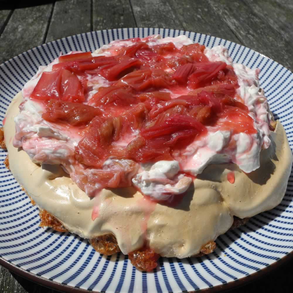 Rhubarb and Mead Pavlova Recipe