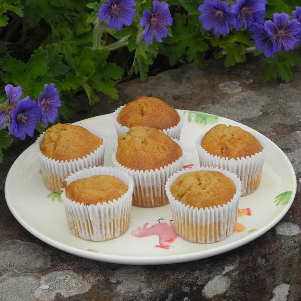 Non Dairy Carrot Cake Muffins