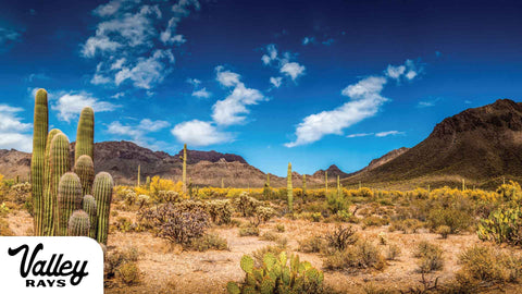 picture of desert mountains