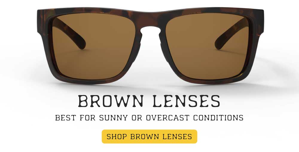 sunglasses with brown lenses