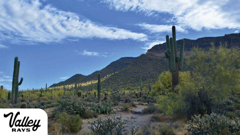 usery mountain arizona