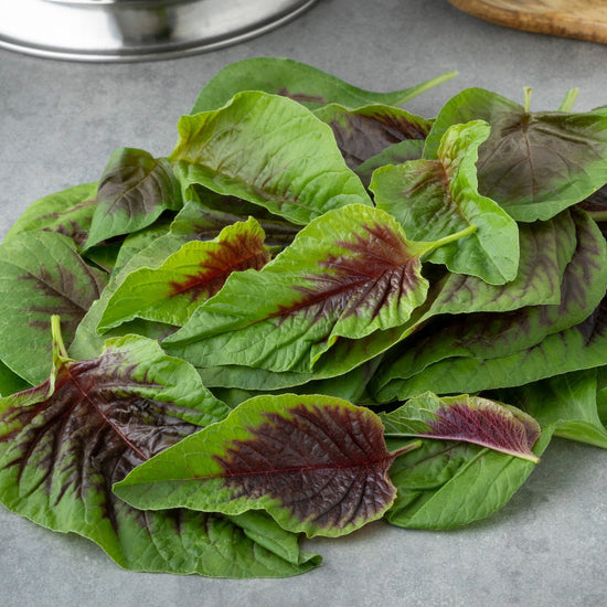 red spinach seeds