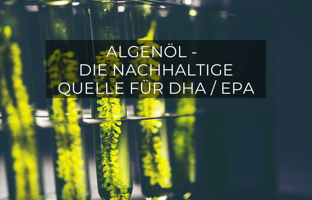 Algae Oil Vegan Omega3 - Brainpower - GREEN LEAN MARINE®