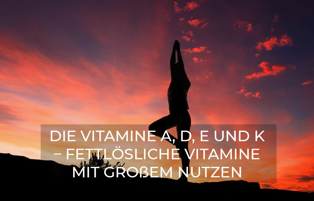 Vitamin ADEK kaufen - GREEN LEAN MARINE®