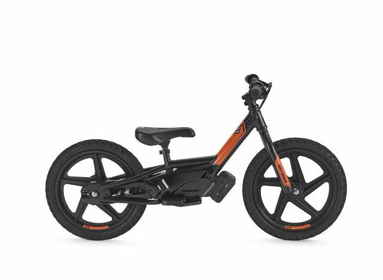 ninebot electric bike