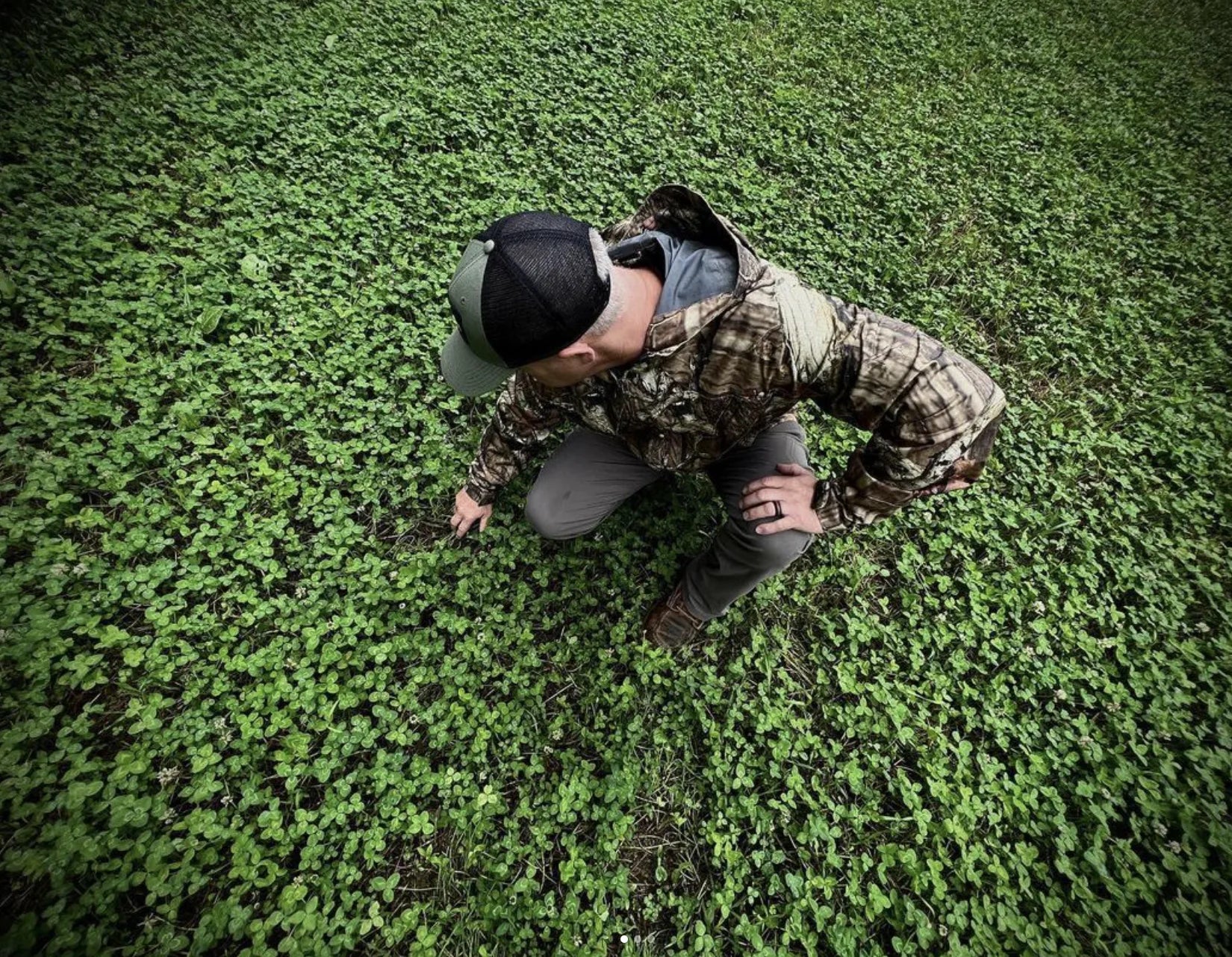 deergro frost seeding for whitetail deer food plot checking growth