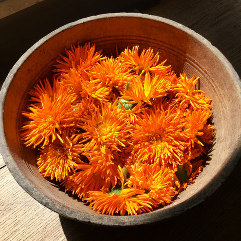 Photo by Kat Furtak on Unsplash, calendula in a wooden bowl