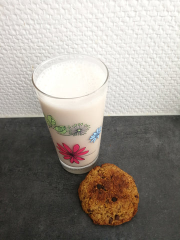 recette lait vegetal boisson vegetale graine oleagineuse fait maison cuisine cookie gateau okara zero dechet