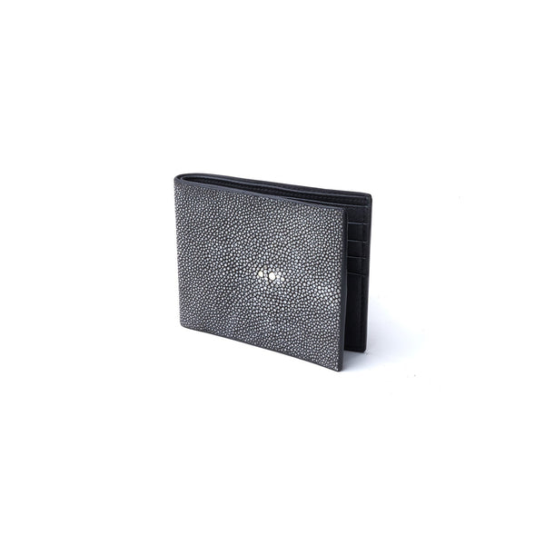 Stingray Credit Card Holder – COLY LOS ANGELES