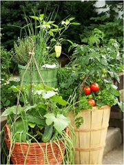 Container gardening