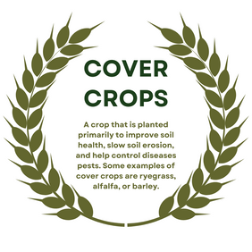 cover-crops.png__PID:2e227f1d-cdf0-4ecc-87d4-43f98cf0c0e8