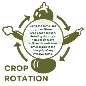 crop-rotation.png__PID:c206422a-7c17-43fe-afef-94f1c16bb509